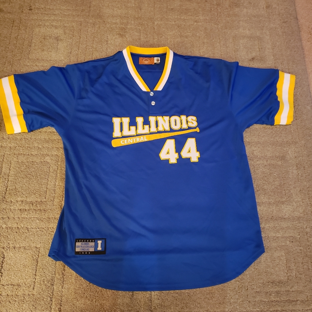 Throwback Central Illinois Baseball Jersey - image 1